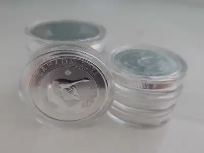 RCM Canada Goose 10 Dollar 2025 2 oz Pure Fine Silver Coins, View more