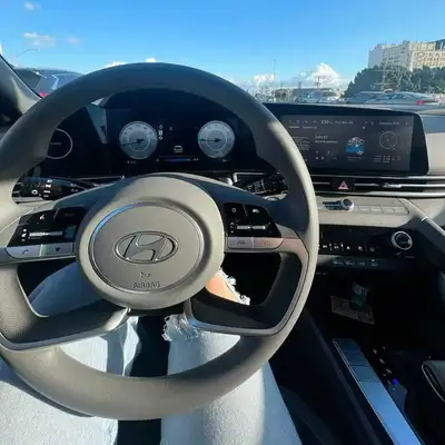 Windsor to Detroit Airport Rides, View more