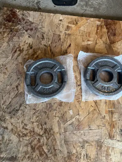 5lbs cast iron plates , View more