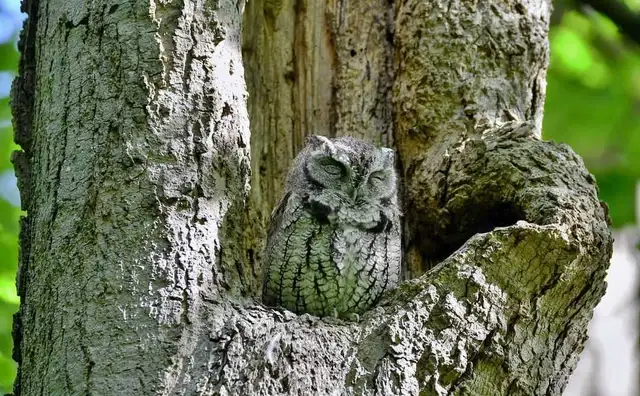 Toronto Winter Retreat! Cosy Fireplace + Warm Vibes! in Ontario in Canada - Image 10