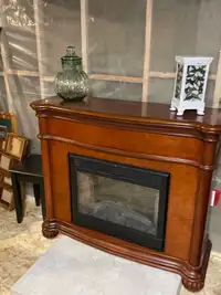 Electric fire place 