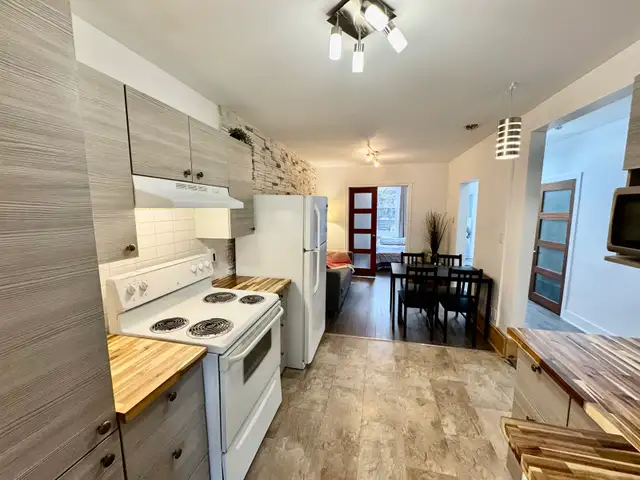 Superbe 4 1/2 entièrement meublé ! Location de 1 mois à 1 an !