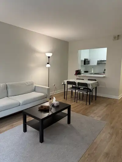 1 bedroom apartment