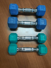 4 Colored Rubber Hex Dumbbells