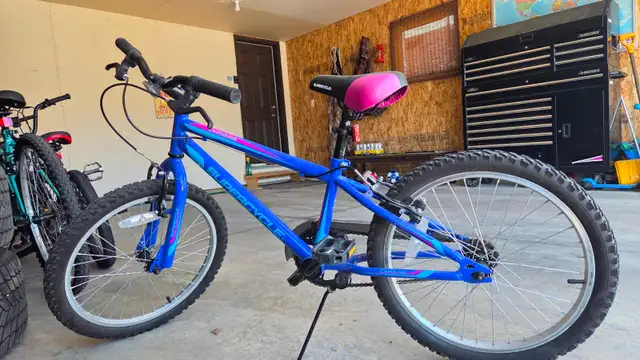 Supercycle Charge 20-inch Girls Bike