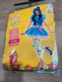 Blueberry Muffin Costume - like new condition 