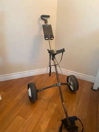 Golf Cart  Why Rent?, View more