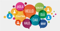 One-on-one Online Language Lessons (English / French)!