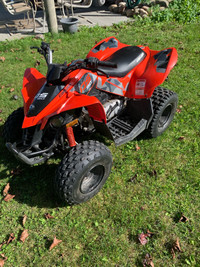 DS 90 Can-am.  2021 