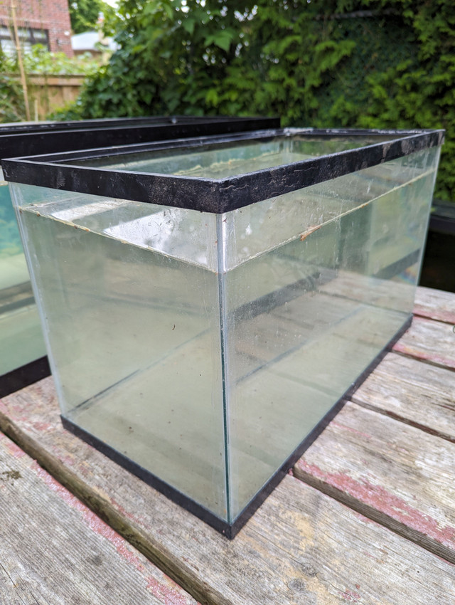 Aquarium, Fish Tank in Hobbies & Crafts in City of Toronto - Image 3
