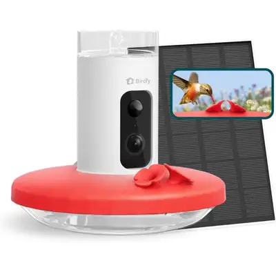 Birdfy Smart Hummingbird Feeder with Camera, View more