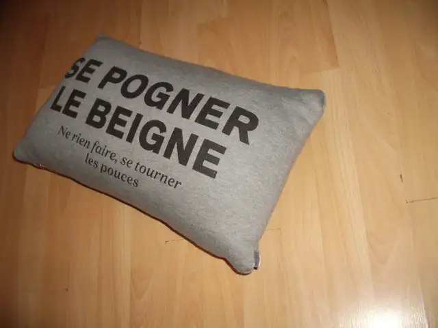 cushion  Pillow for chair or sofa  oreiller coussin 12" x 20" in Home Décor & Accents in City of Montréal - Image 4