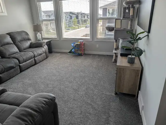 Carpet Cleaning605486184797972482