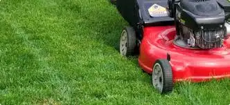Lawn Care Technician, View more