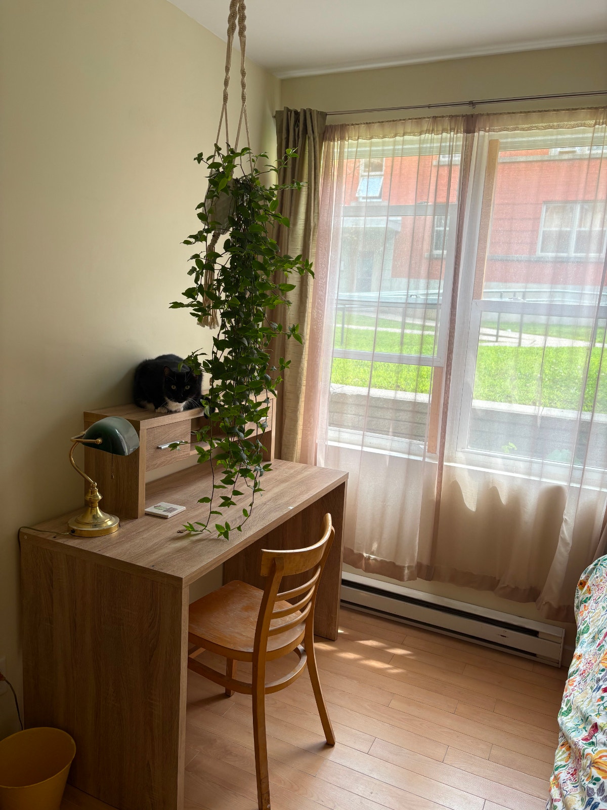 Room for rent / Chambre à louer - NDG - 800$ — photo 2