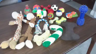 20 jouets pour chiens $15. le tout