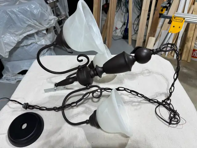 HANGING LIGHT - $20 OBO62863732465921121