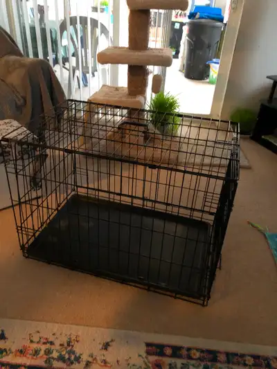 Hamster cage and accessories asking 25.00 small Dog kennel in good condition good for small dogs ask...