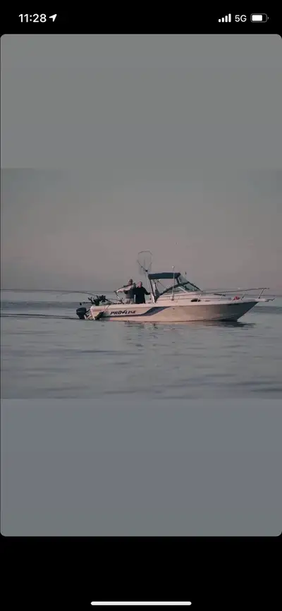 1994 pro line come with trailer and 2021 15 hp EFI mercury kicker motor with low hours. Boat runs gr...