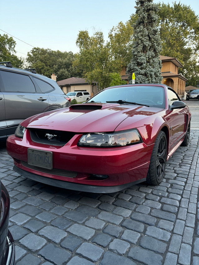 Mustang for sale  in Cars & Trucks in Mississauga / Peel Region