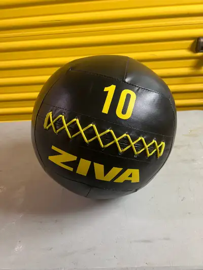 Ziva 10lb wall ball, View more