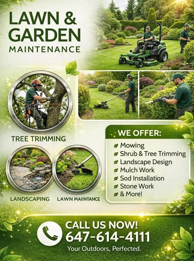 tree Cutting or removal in Lawn, Tree Maintenance & Eavestrough in City of Toronto - Image 3
