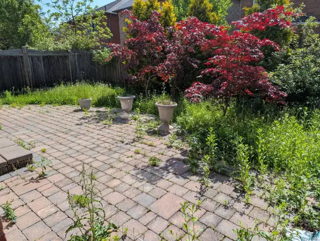 Lawn & Garden Maintenance 2026
