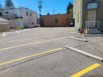 We are professional parking lot line painting company, we also perform Asphalt patching service. Cal...