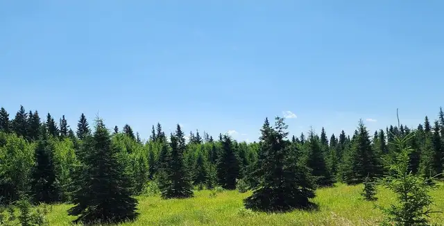 House near turtle lake in Land for Sale in Prince Albert - Image 7