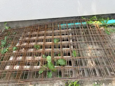  Wiremesh , View more
