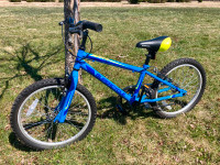 Youth Bike, 20-in, almost new, Great condition!