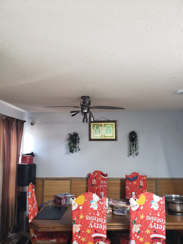 Two Storey Full House for Rent at Martindale Blvd NE in Long Term Rentals in Calgary - Image 4