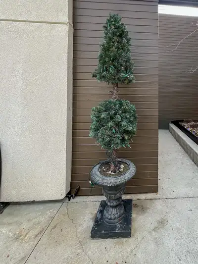 Topiary Trees, View more