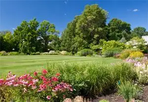 Cemetery lot in Capital Memorial Gardens, in the Garden of Traditions, Designated Single (Up to 3 pe...