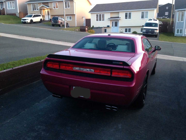 2010 Dodge Challenger SRT 8 in Cars & Trucks in St. John's - Image 2