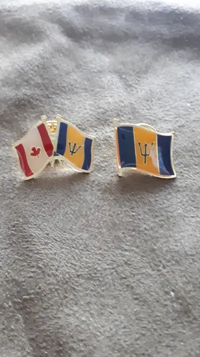 Metal Flag Pins with push on backs. $3. each or 2 for $5. 2 x 3 ft flag $10.