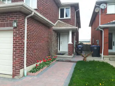Beautiful room for rent Eglinton and Credit View Mississauga