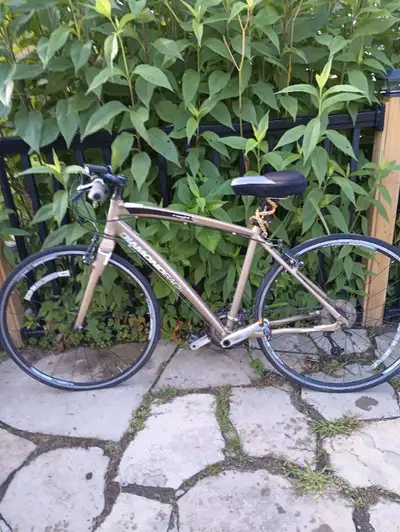 Kijiji mens bike hotsell