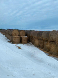 Hay For Sale