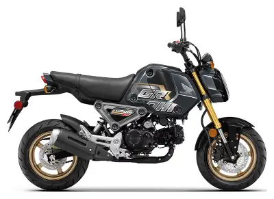2024 HONDA GROM WITH 75 KILOMETRES (NEW) with abs