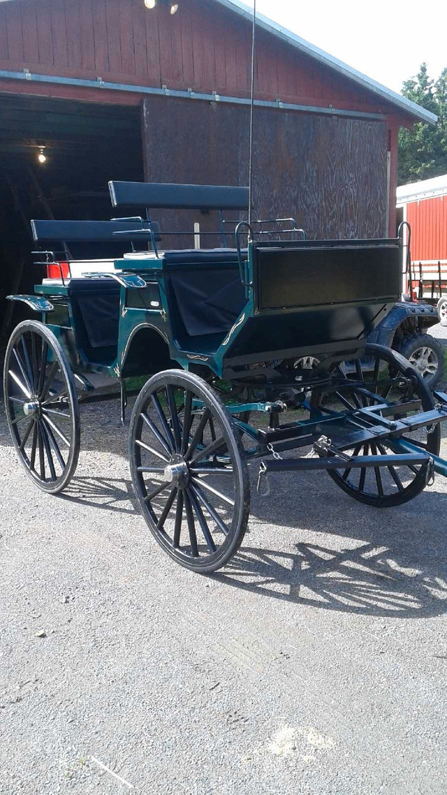 Horse Carriage  in Equestrian & Livestock Accessories in New Glasgow - Image 3