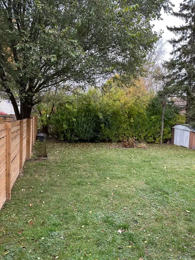Room for Rent in Room Rentals & Roommates in Belleville - Image 7