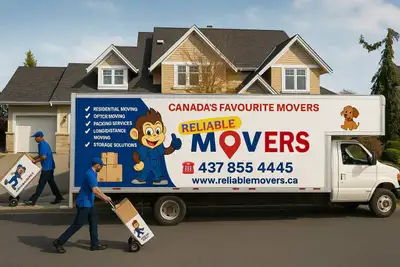 movers , movers & Packers, View more