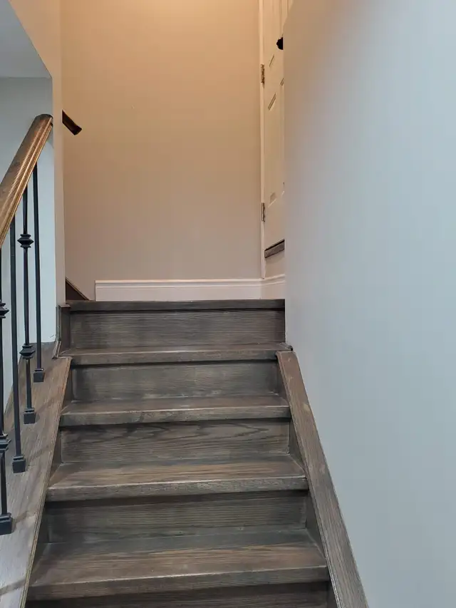 One Bedroom Basement for rent63815786868737121