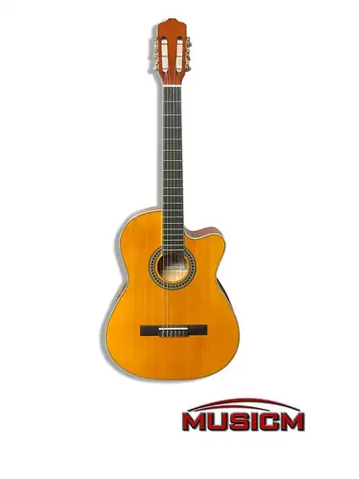 Classical Electric Guitar Full size 40” Cutaway EC-320YNEQ, View more