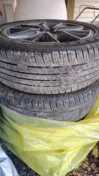 Summer tires on Mazda rims $1000. All kept under tarp for winter ( kept dry)