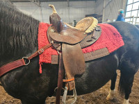 13.5" circle Y barrel saddle