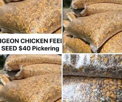 PIGEON SEEDS SEED FEED LAYER MASH $45 PICKERING, View more