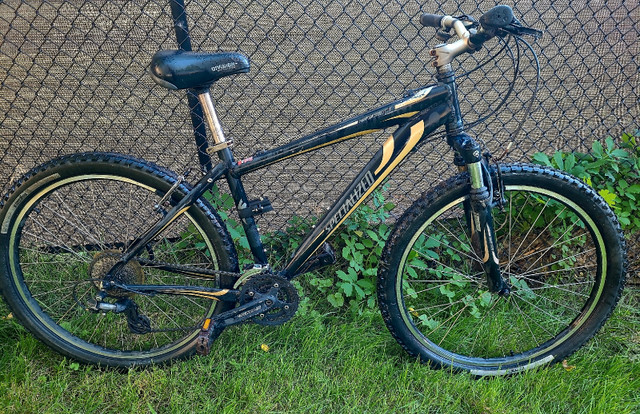 specialized hardrock sport black and gold