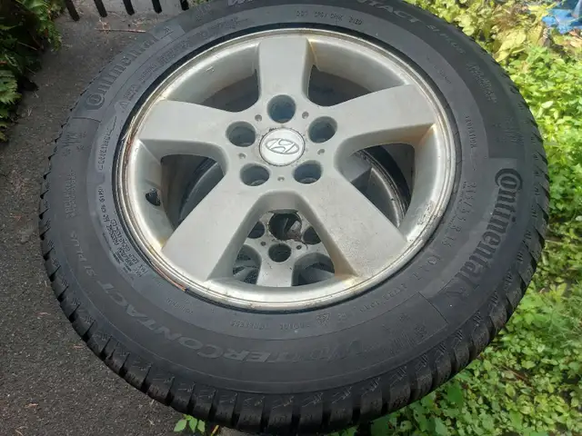 winter tires in Tires & Rims in Ottawa - Image 3